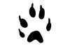 Picture of Paw Print Symbol Stamps