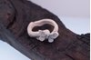 Picture of Butterfly Mold